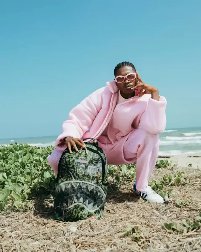 AERIAL PURSUIT BACKPACK (DLXV) AERIAL PURSUIT BACKPACK (DLXV)