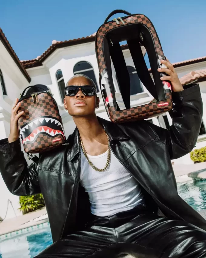 BAG IN A BAG BACKPACK BAG IN A BAG BACKPACK