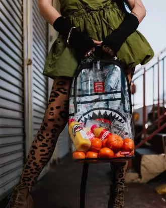 CLEAR BACKPACK – MONEY CHOMP