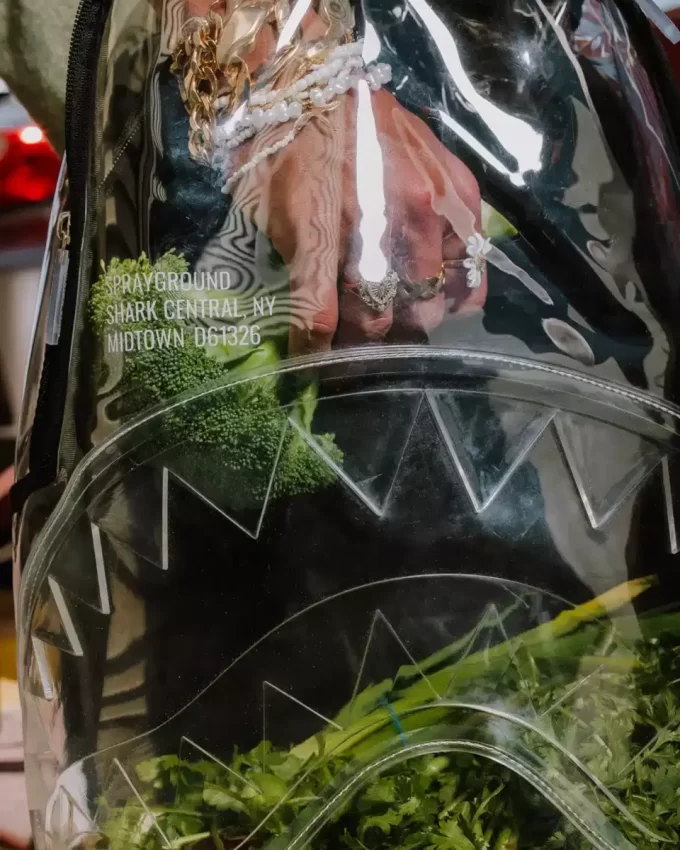 CLEAR BACKPACK – SHARK CENTRAL CLEAR BACKPACK – SHARK CENTRAL