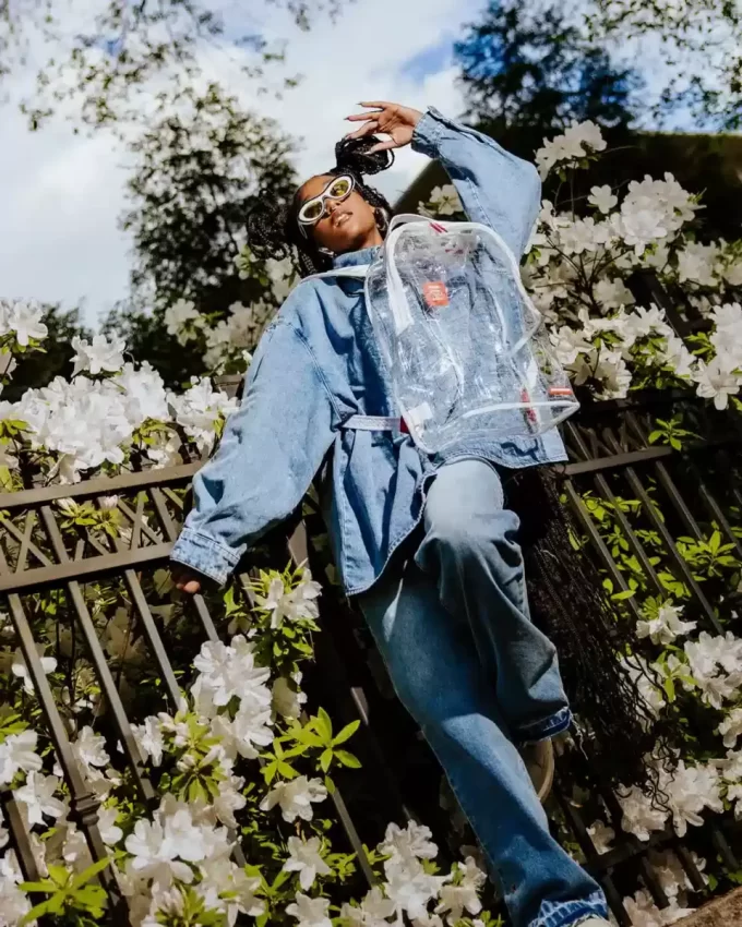 CLEAR VISION SHARKS IN PARIS – 100% ALL CLEAR DLX BACKPACK CLEAR VISION SHARKS IN PARIS – 100% ALL CLEAR DLX BACKPACK