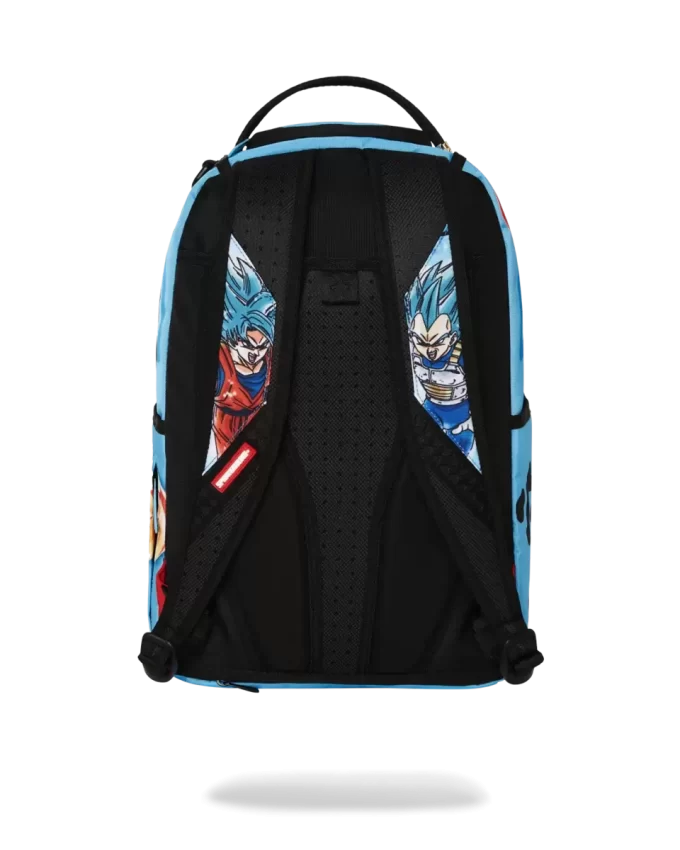 DRAGON BALL Z SUPER SAIYAN BLUE GOKU AND VEGETA DRAGON BALL Z SUPER SAIYAN BLUE GOKU AND VEGETA