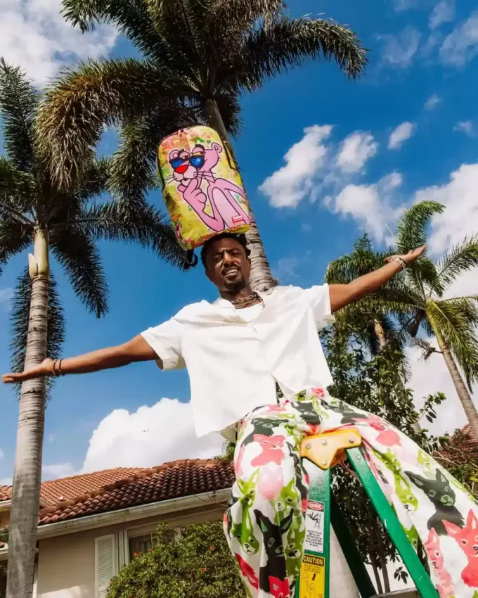 PINK PANTHER DIAMOND SHADES BACKPACK PINK PANTHER DIAMOND SHADES BACKPACK