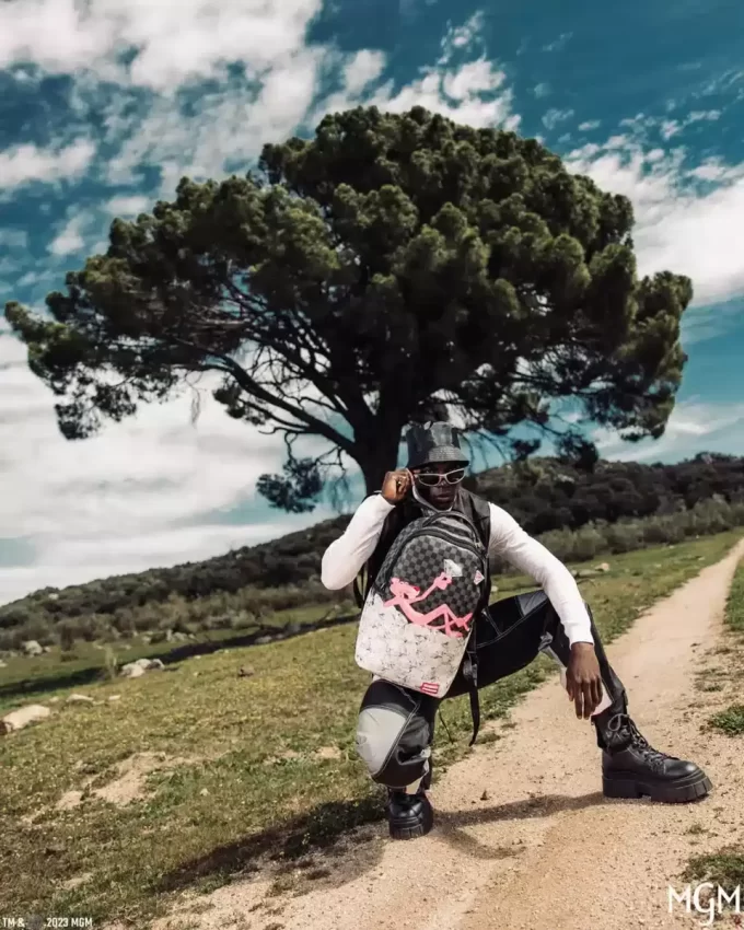 PINK PANTHER ONE IN A MILLION BACKPACK (DLXV) PINK PANTHER ONE IN A MILLION BACKPACK (DLXV)