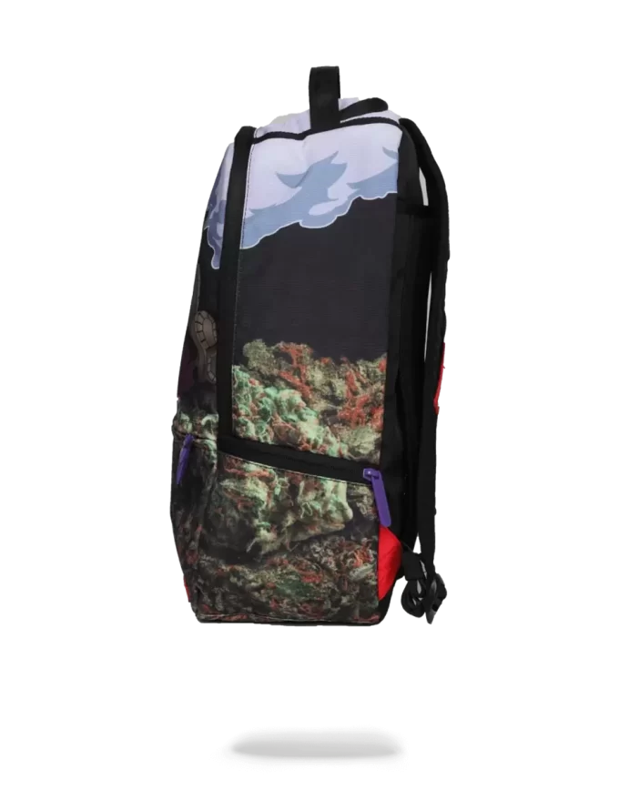 PURPLE HAZE GANJA BEAR PURPLE HAZE GANJA BEAR