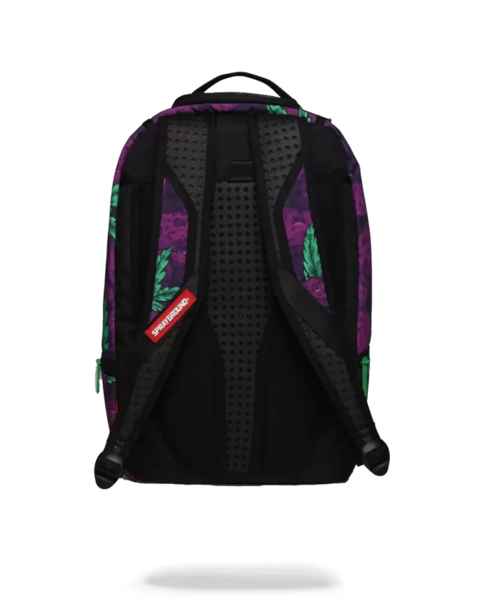 QUEEN INDICA QUEEN INDICA