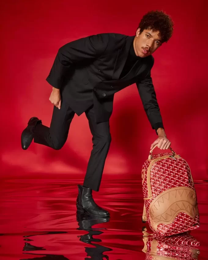 THE 3DSG CONCORDE BACKPACK THE 3DSG CONCORDE BACKPACK