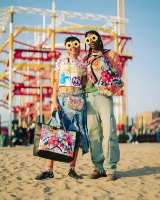 THE BACKSTAGE HUMMINGBIRD SHARK PRECISION