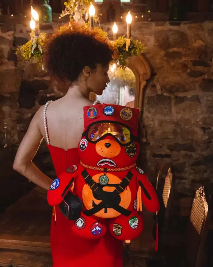 THE GLOBAL EXPEDITION MONEYBEAR TEDDYBEAR BACKPACK THE GLOBAL EXPEDITION MONEYBEAR TEDDYBEAR BACKPACK