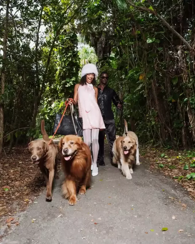 THE HQ TORTUGA TOTE THE HQ TORTUGA TOTE