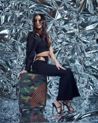 THE PARADOXX SHARK JETSETTER CARRY-ON LUGGAGE