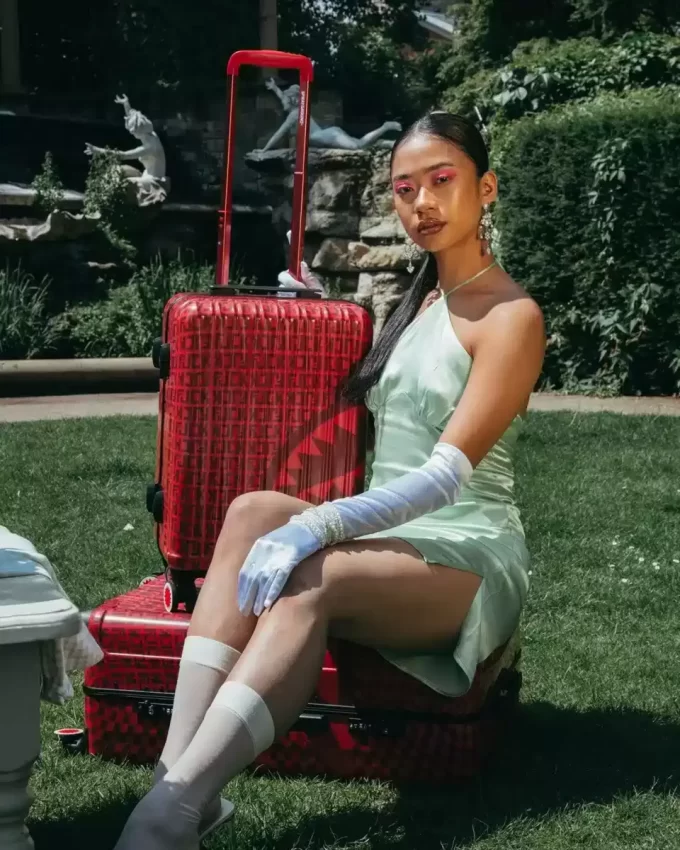 VENI VIDI VICI LUGGAGE VENI VIDI VICI LUGGAGE