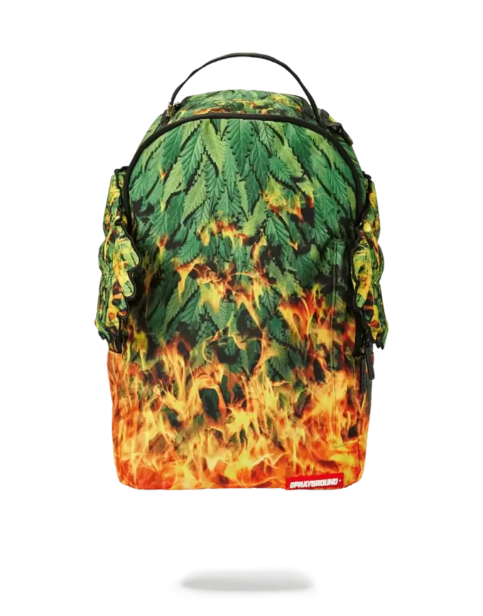 WINGS OF PARADISE WINGS OF PARADISE